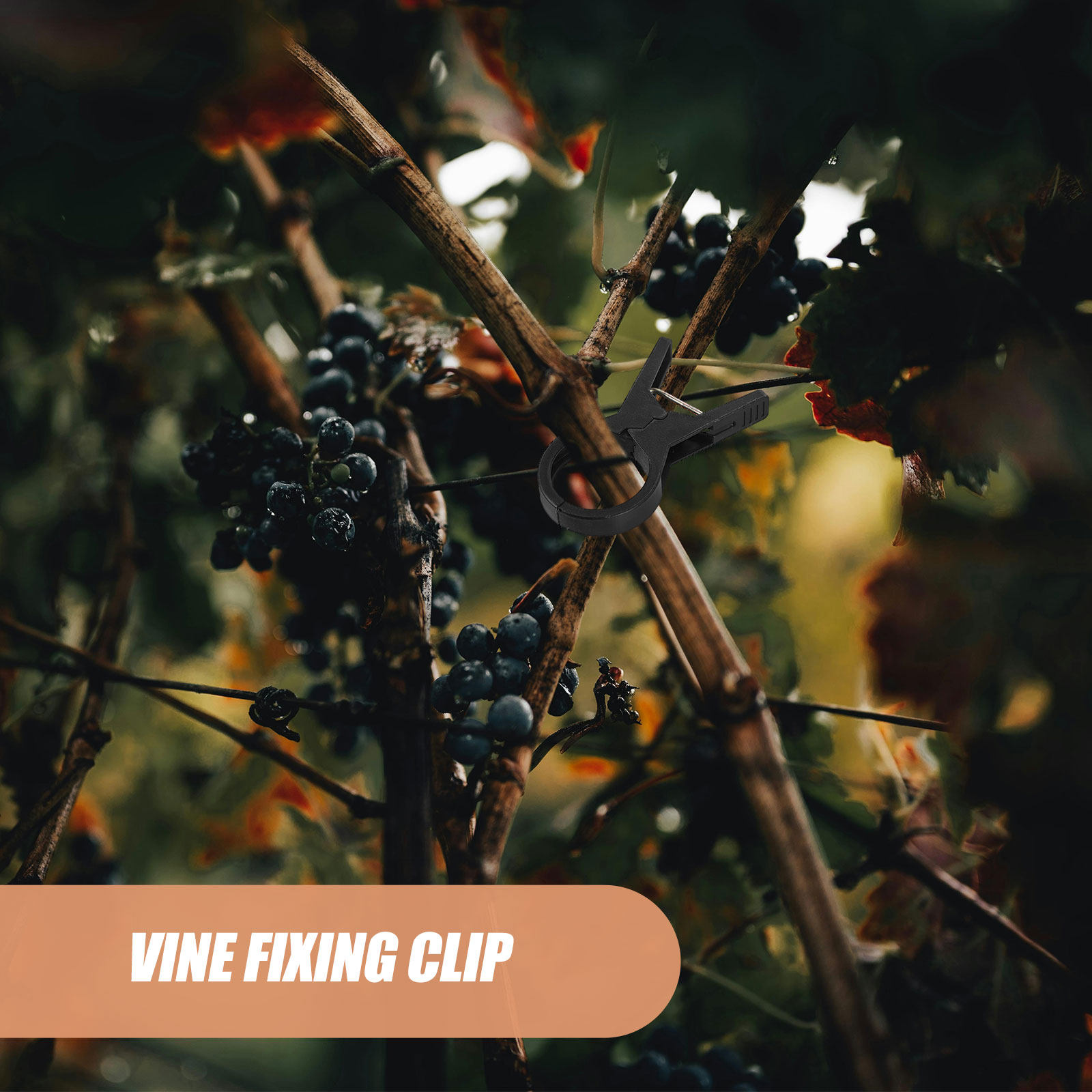 Vine Climbing Plastic - 100Pcs Plastic Plant Support Clips for