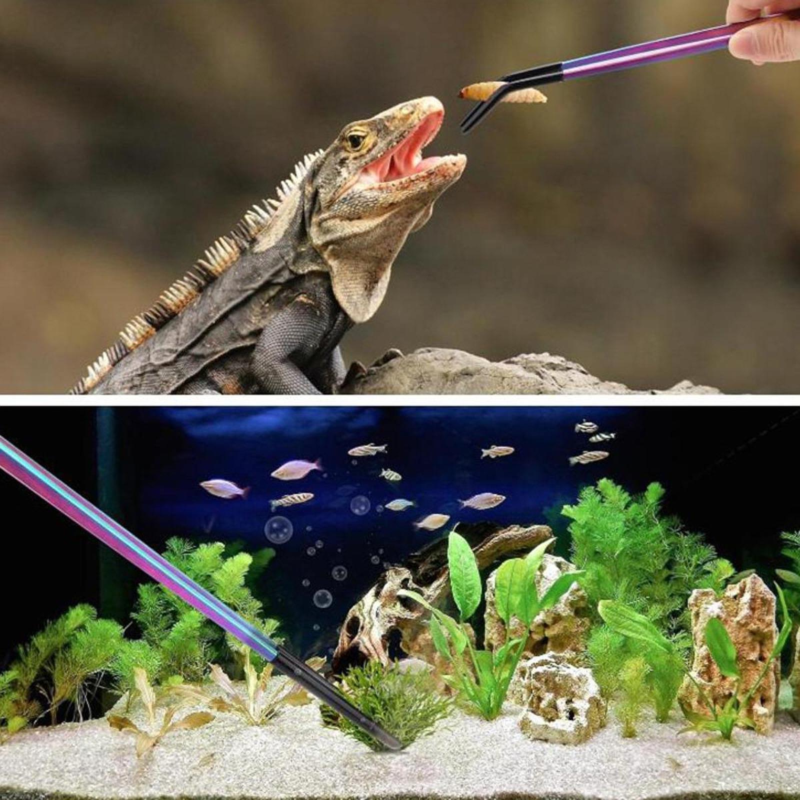 Terrarium Reptile Feeder Tongs - Feeding Tong Stainless review and price