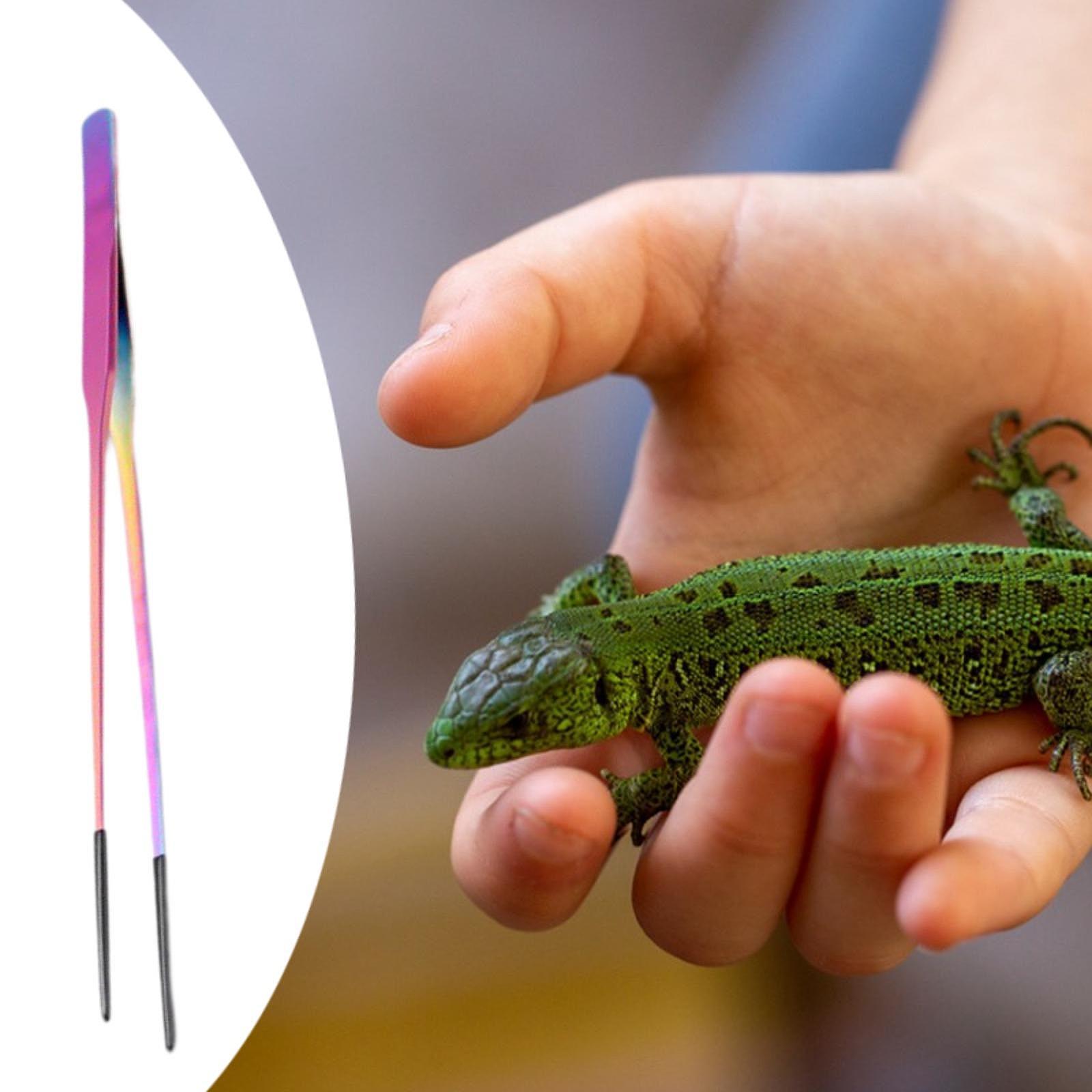 Terrarium Reptile Feeder Tongs - Feeding Tong Stainless review and price