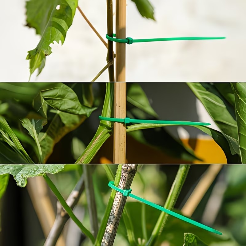 50-300pcs Adjustable Plastic P - Vine Climbing Plastic review and price