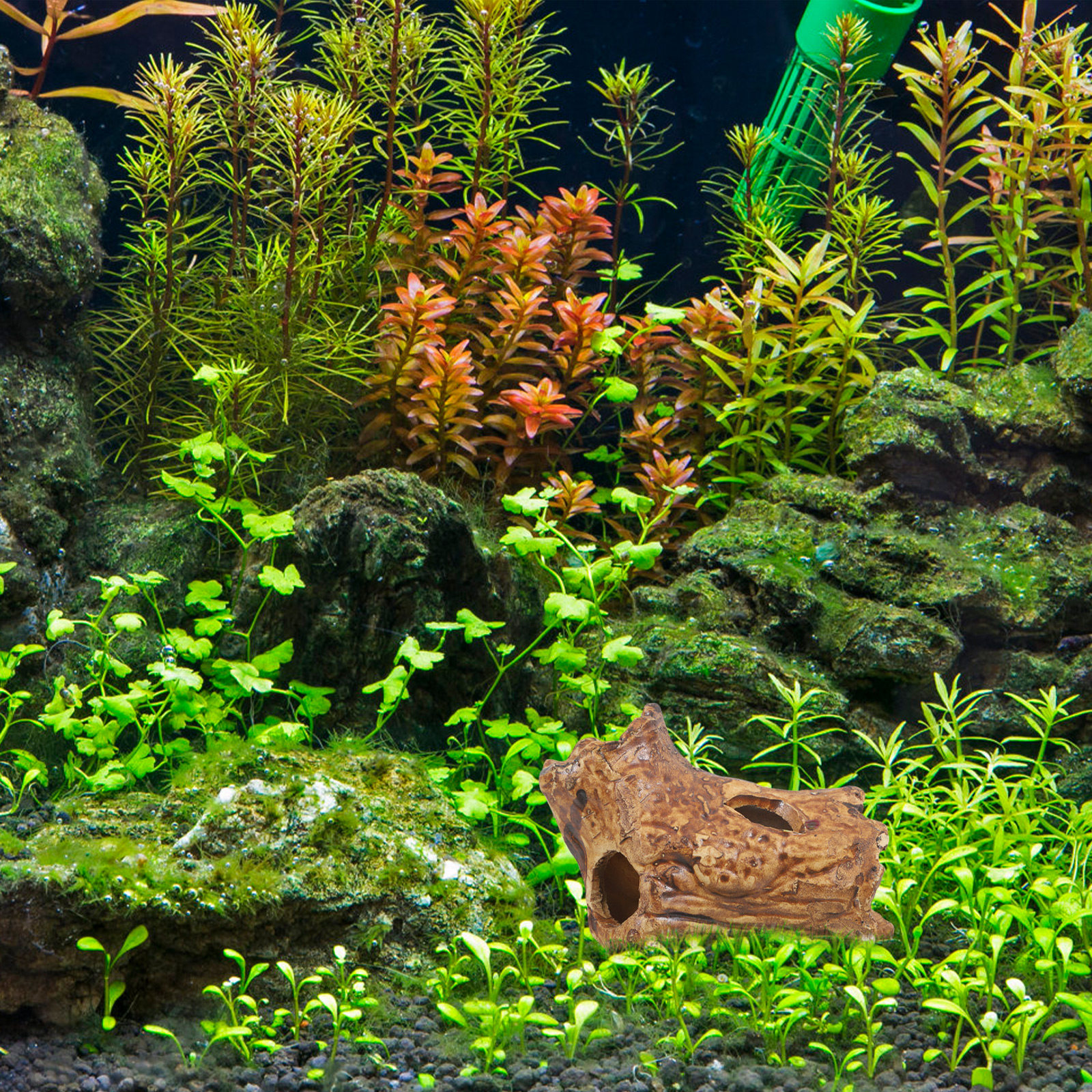 Ceramic Pleco Caves for Aquari - Hide Cave Ceramic review and price