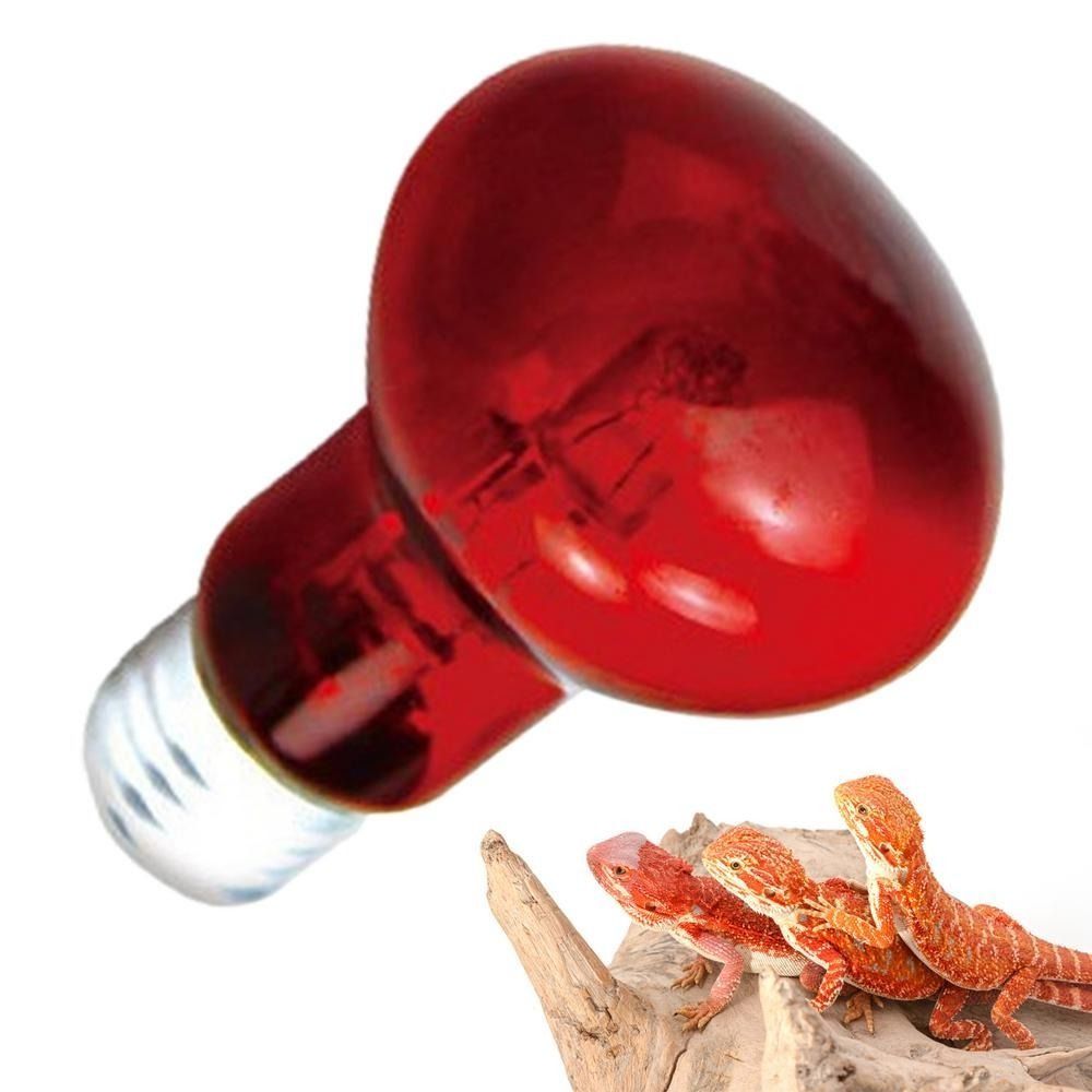 Infrared Led Pet Heating Lamp  - Ceramic Heat Emitter review and price