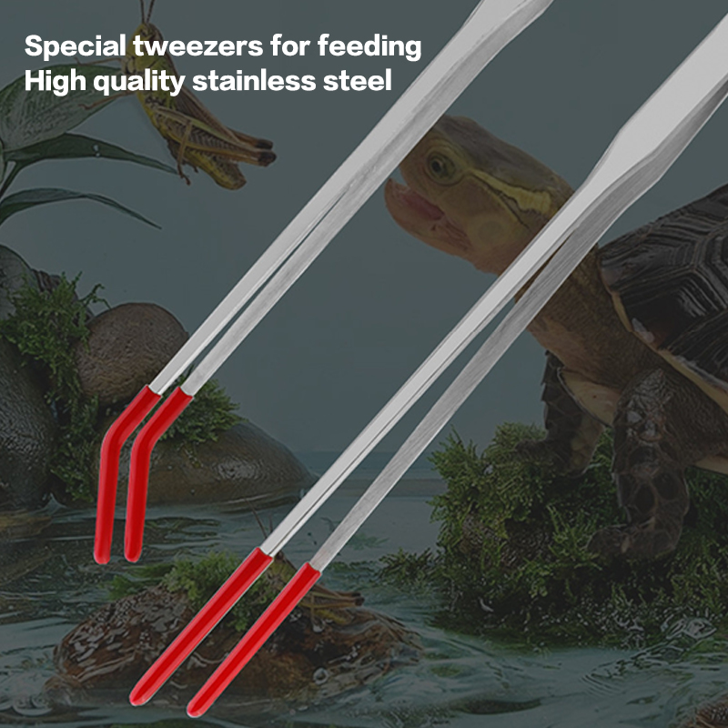 Stainless Steel Reptile With R - Feeding Tong Stainless review and price