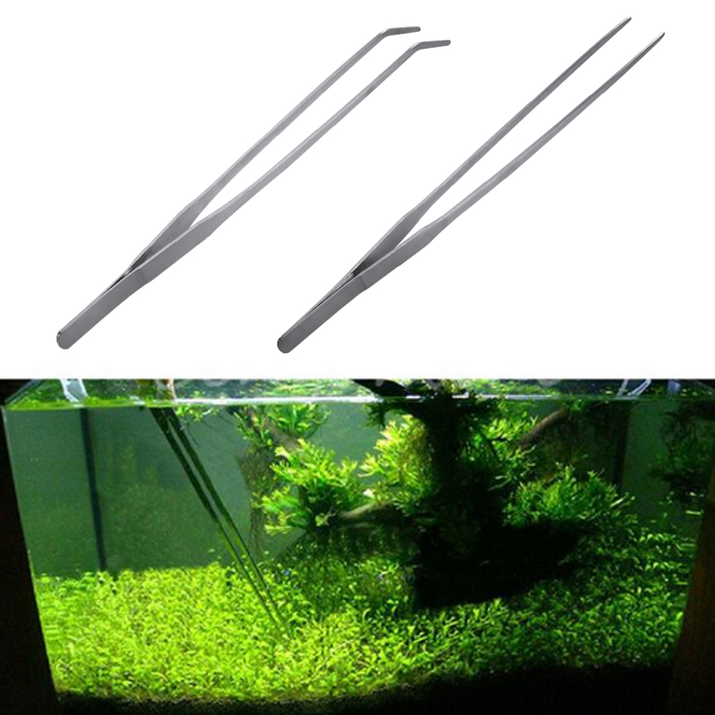 10.5 Inch Reptile Feeding Tong - Feeding Tong Stainless review and price