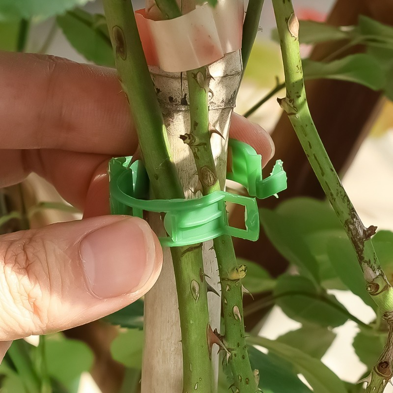 10-500Pcs Garden Plant Support - Vine Climbing Plastic review and price