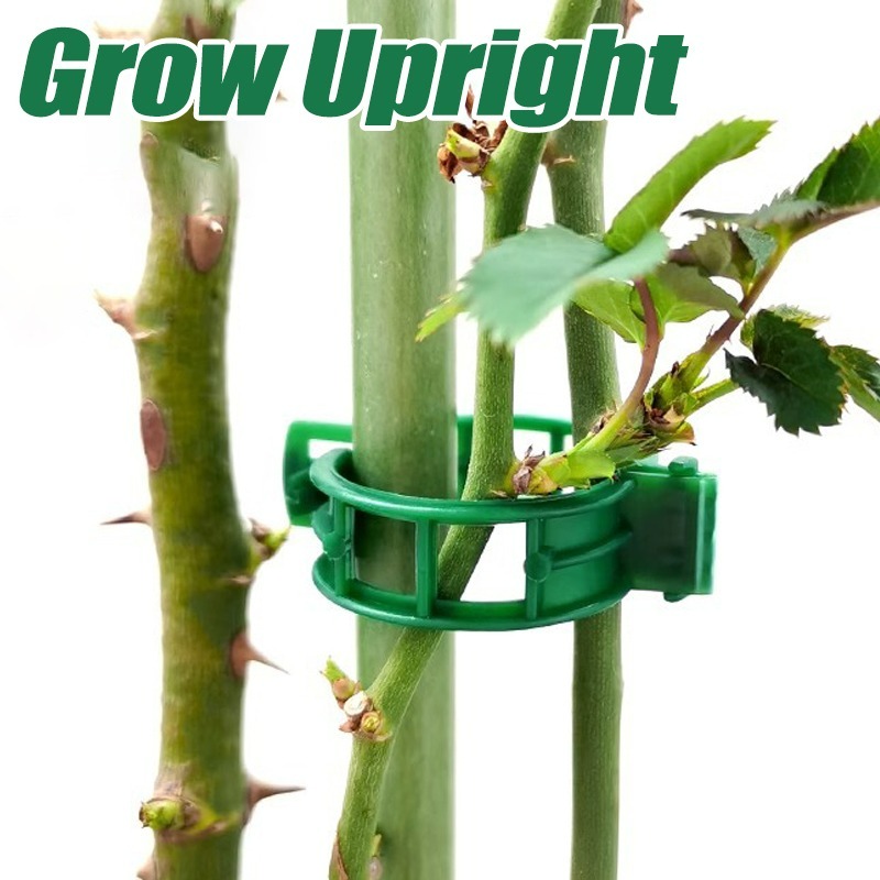 10-500Pcs Garden Plant Support - Vine Climbing Plastic review and price