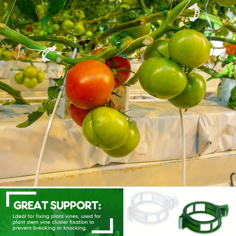 10-500Pcs Garden Plant Support - Vine Climbing Plastic review and price