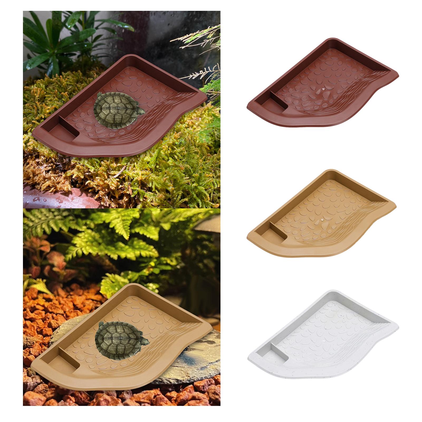 Reptile Pool Water Dish, Torto - Water Dish Reptile review and price