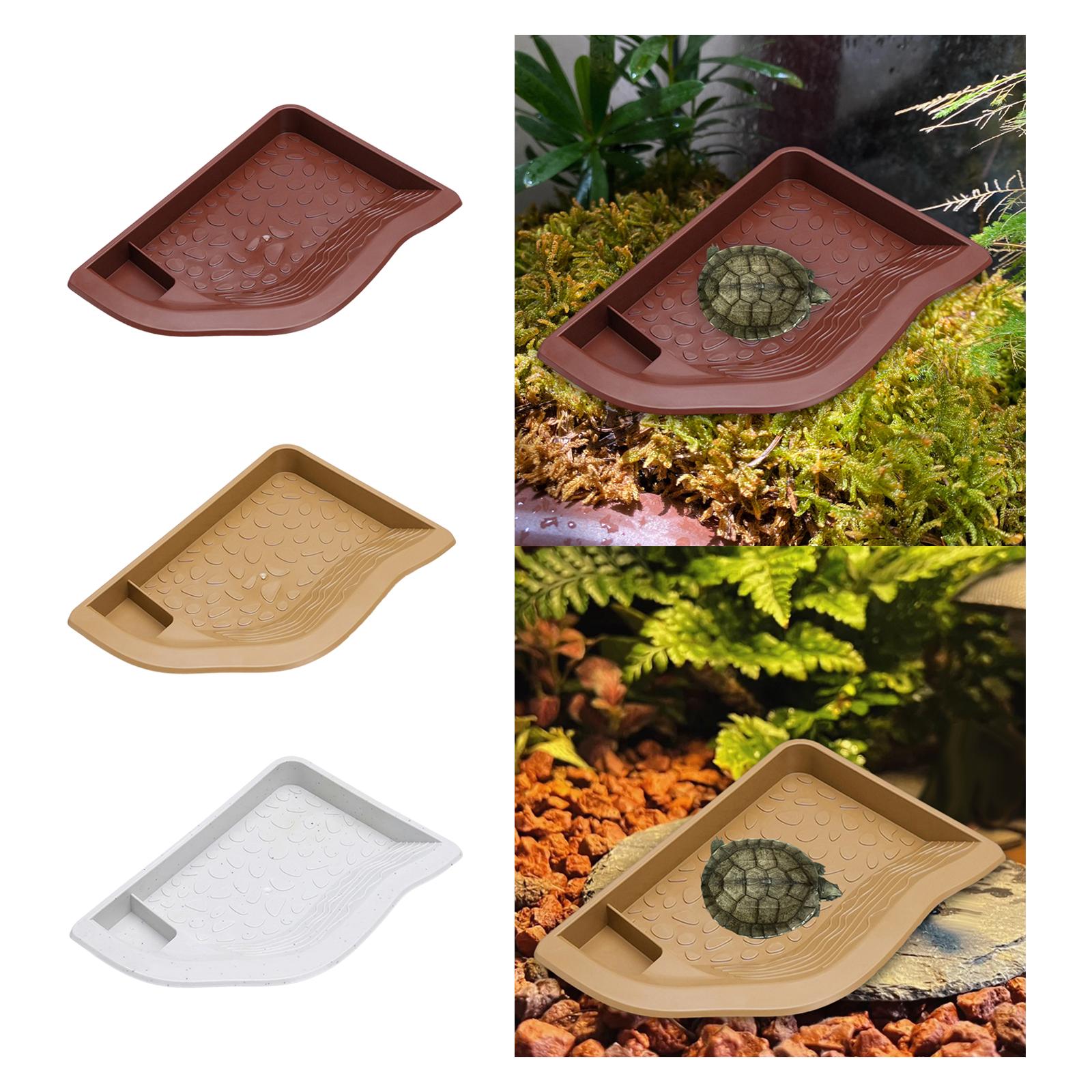 Reptile Pool Water Dish, Torto - Water Dish Reptile review and price