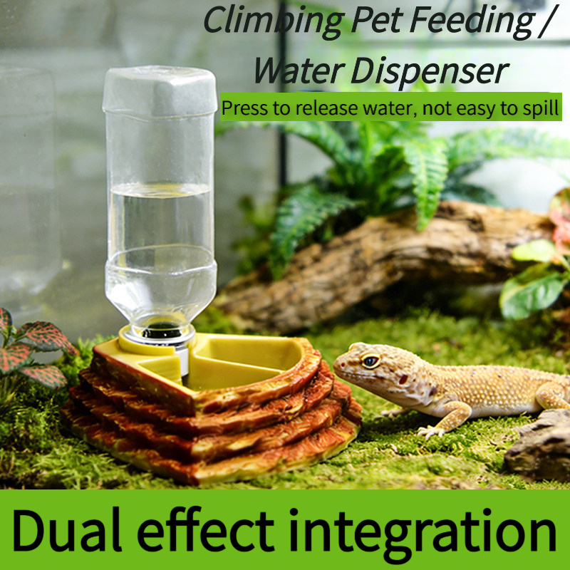 2 in 1 Reptile Water Cup Feede - Water Dish Reptile review and price
