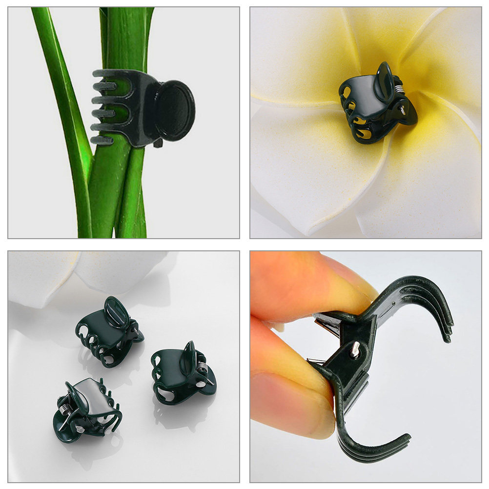 60Pcs Plant Support Clamps Pla - Vine Climbing Plastic review and price