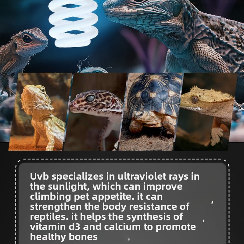 NOMOY 26W UVB Reptile Light Ca - Vitamin D3 Reptile review and price