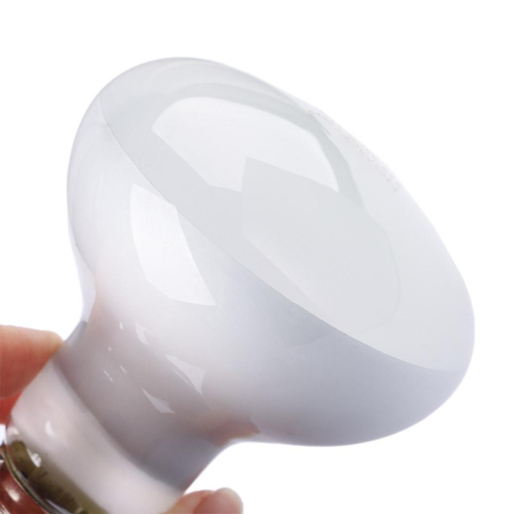 Amphibians Heater Heat Lamp UV - Basking Bulb Halogen review and price