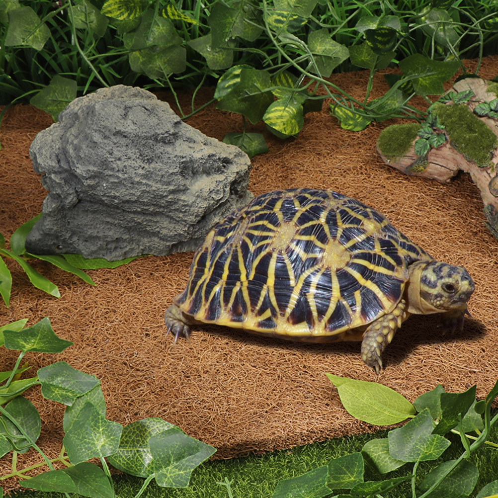 Reptile Terrarium Bedding Subs - Substrate Coconut Fiber review and price