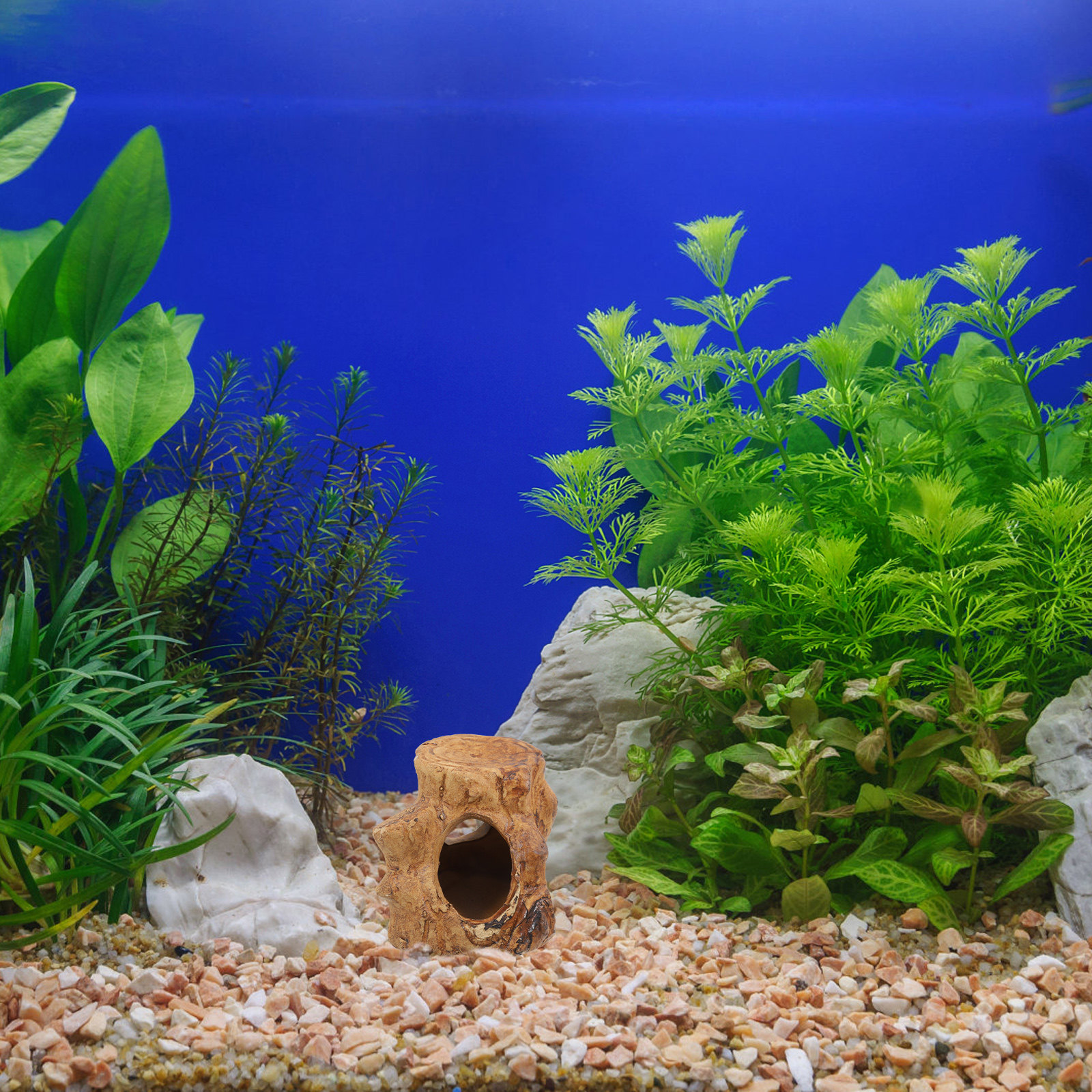 Pleco Caves Fish Tank Decorati - Hide Cave Ceramic review and price