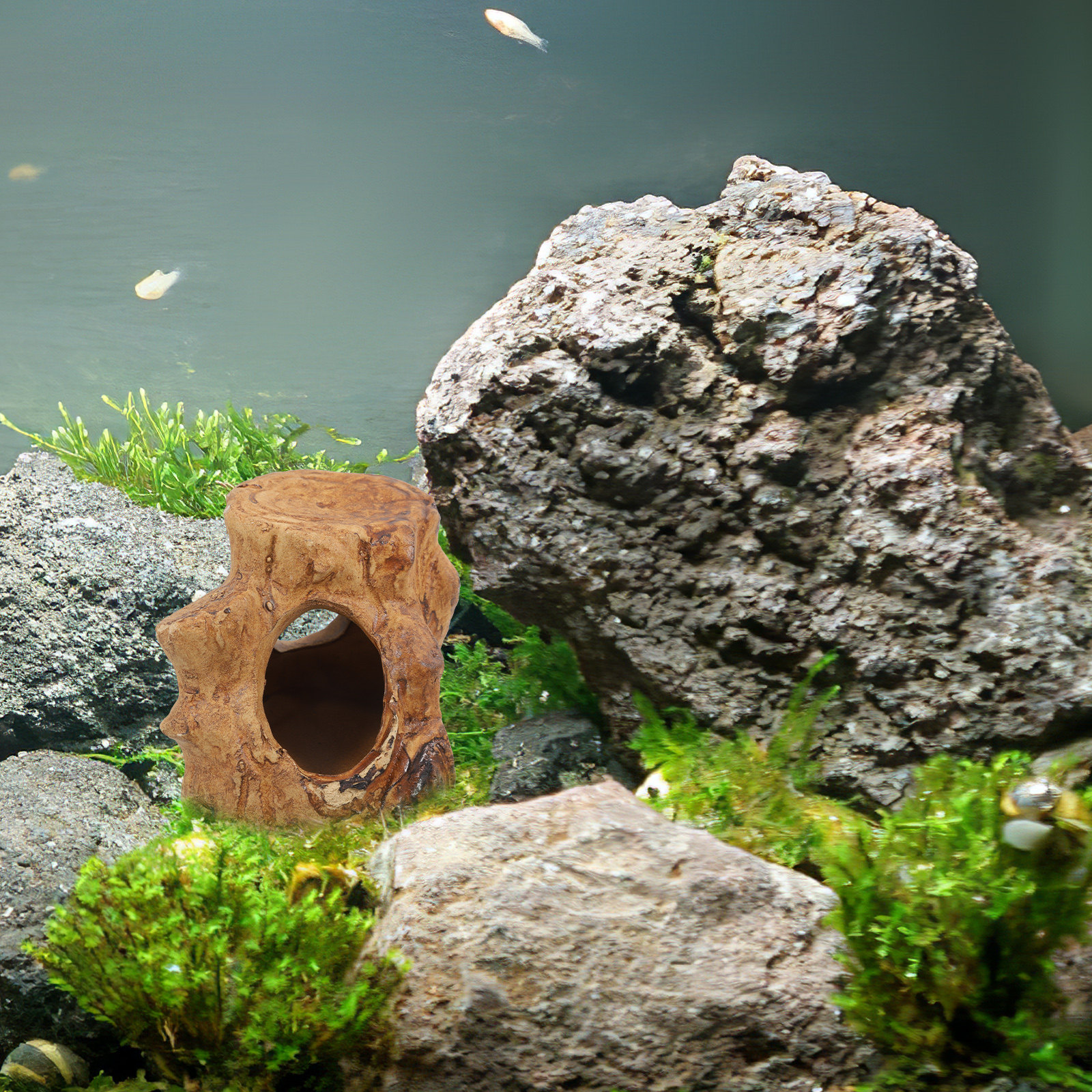 Pleco Caves Fish Tank Decorati - Hide Cave Ceramic review and price