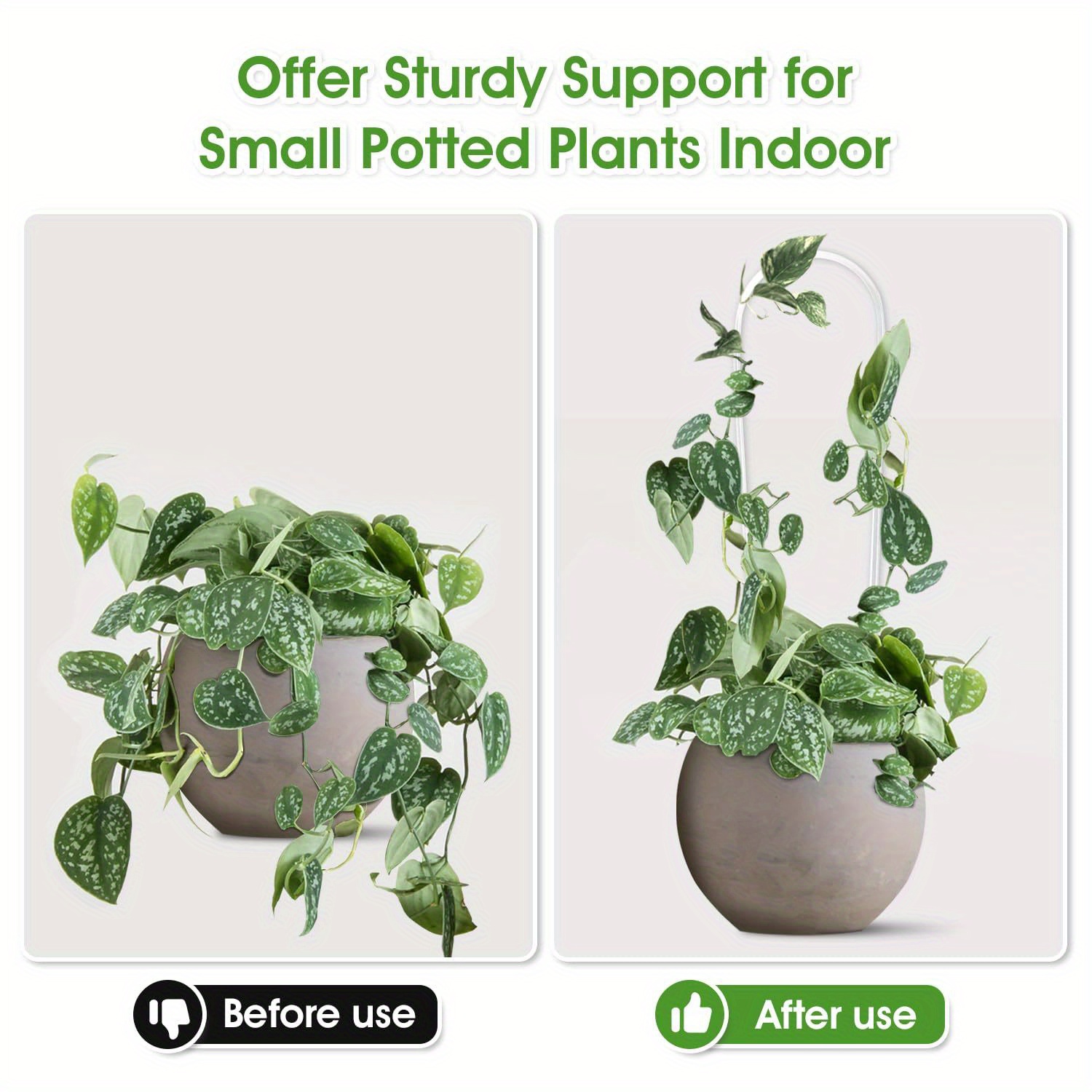 3pc u-shaped acrylic plant cli - Vine Climbing Plastic review and price