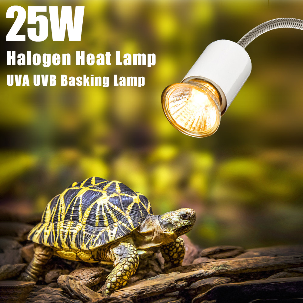 25W Halogen Heat Lamp UVA UVB  - Basking Bulb Halogen review and price