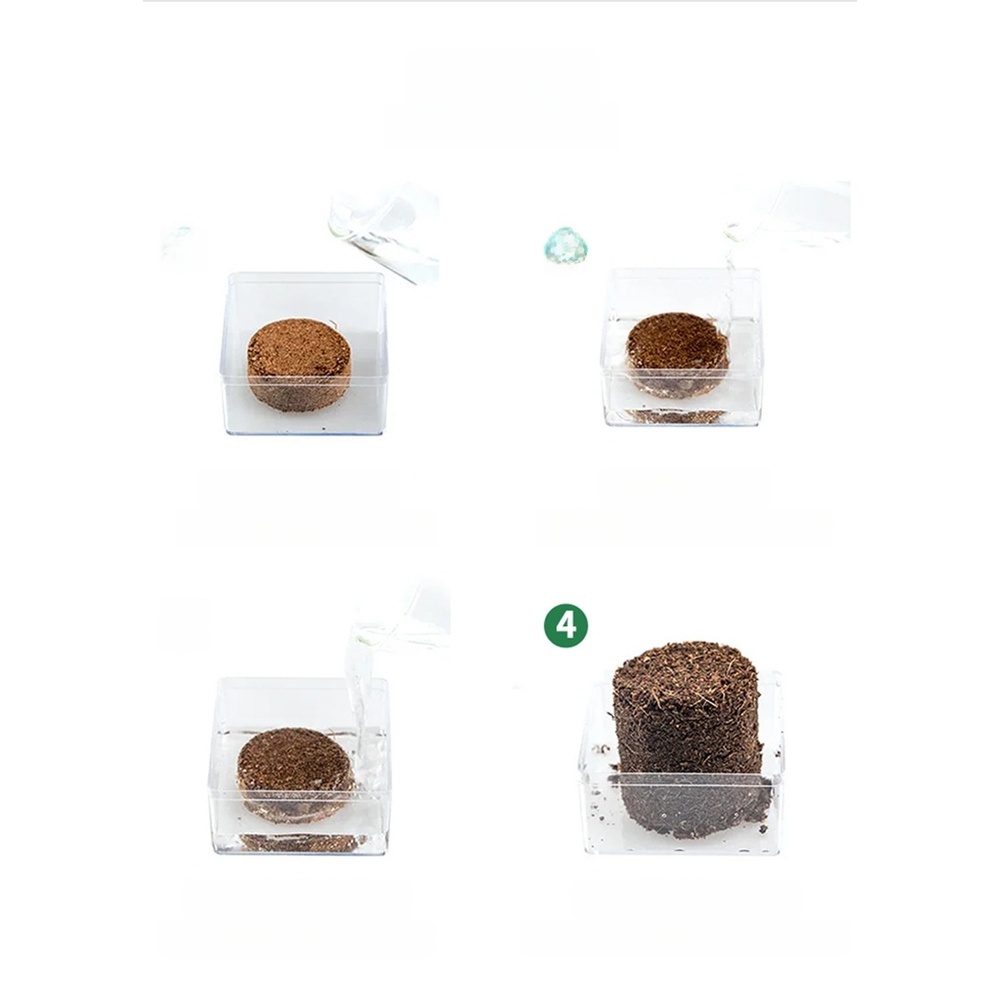 Coconut Coir Substrate Block f - Substrate Coconut Fiber review and price