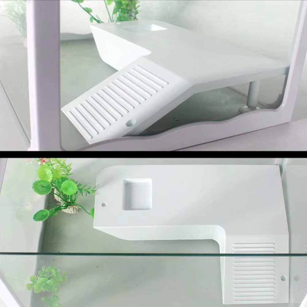 Water Land Slope Box Feeding C - Water Dish Reptile review and price