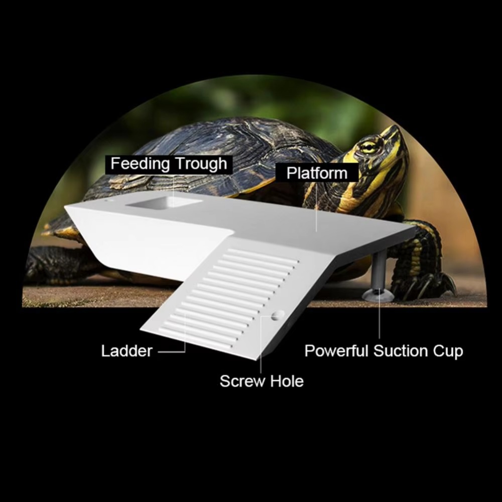 Water Land Slope Box Feeding C - Water Dish Reptile review and price