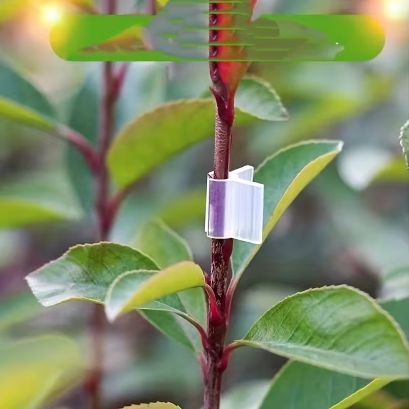 50pcs Agriculture Grafting Cli - Vine Climbing Plastic review and price