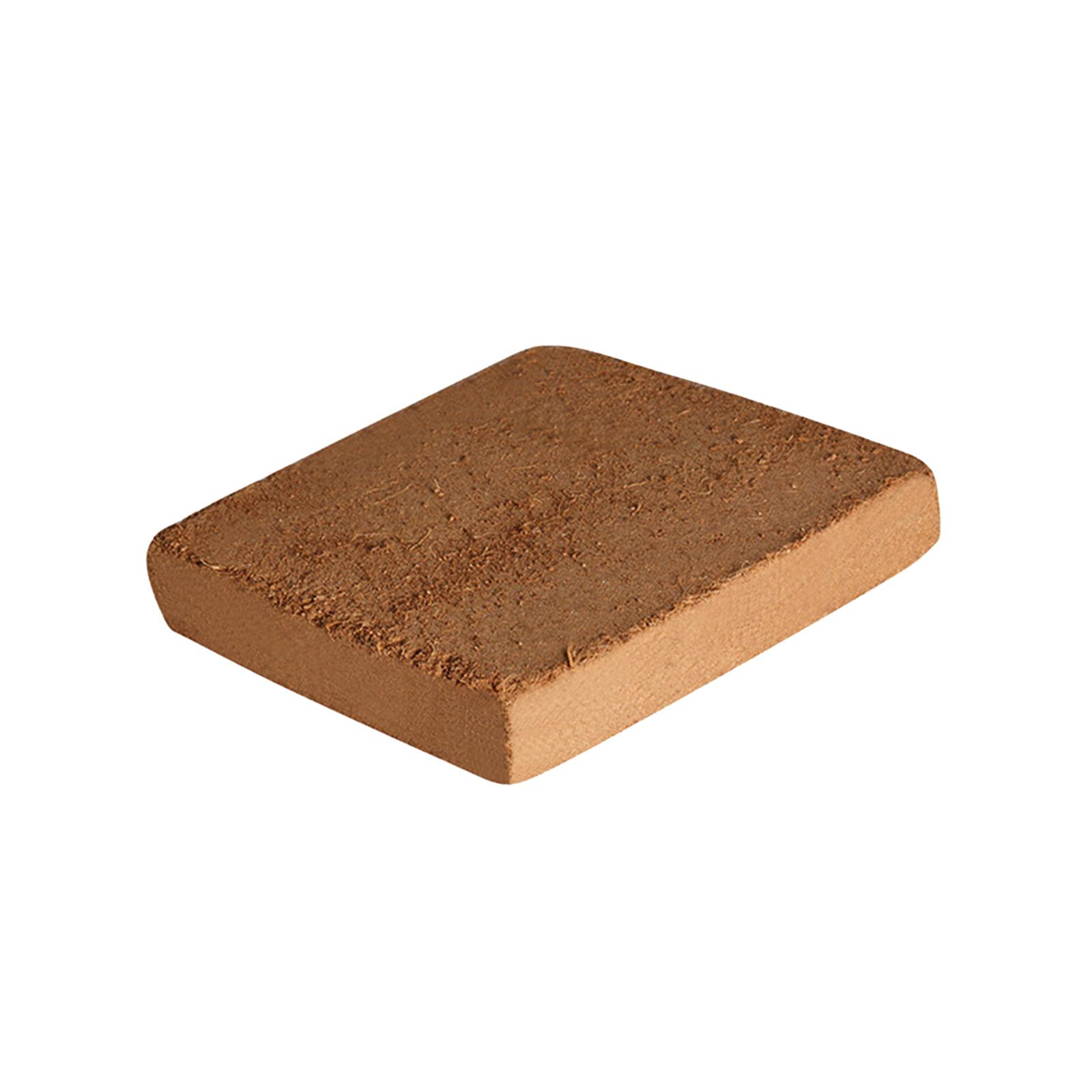 Soil Coconut Fibre Terrarium S - Substrate Coconut Fiber review and price