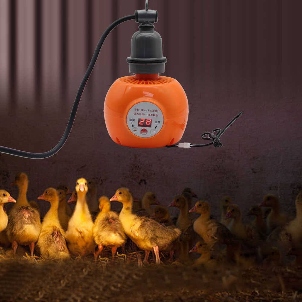 Pet Heater Animal Heating Lamp - Ceramic Heat Emitter review and price