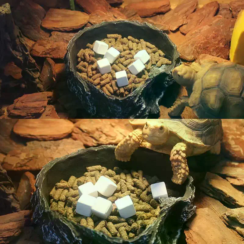 Slow Release Calcium Mineral B - Calcium Powder Reptile review and price