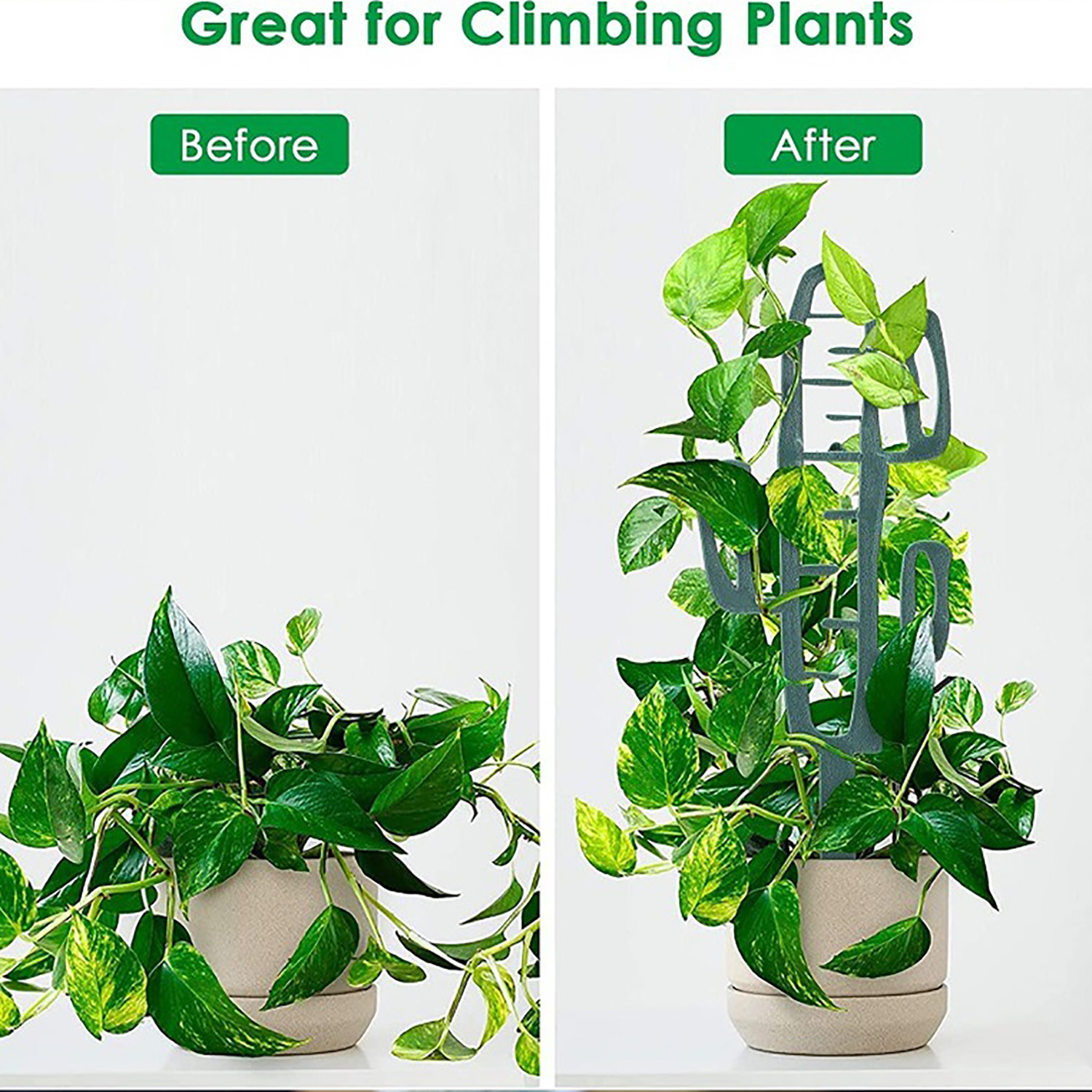 Plant Climbing Support Stand F - Vine Climbing Plastic review and price